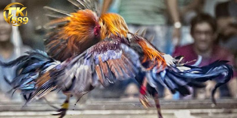 ডিজিটাল নিরাপত্তা ও অ্যাকাউন্ট সুরক্ষার সিস্টেম ফ্রেমওয়ার্ক ডিজিটাল নিরাপত্তা ও অ্যাকাউন্ট সুরক্ষার সিস্টেম ফ্রেমওয়ার্ক